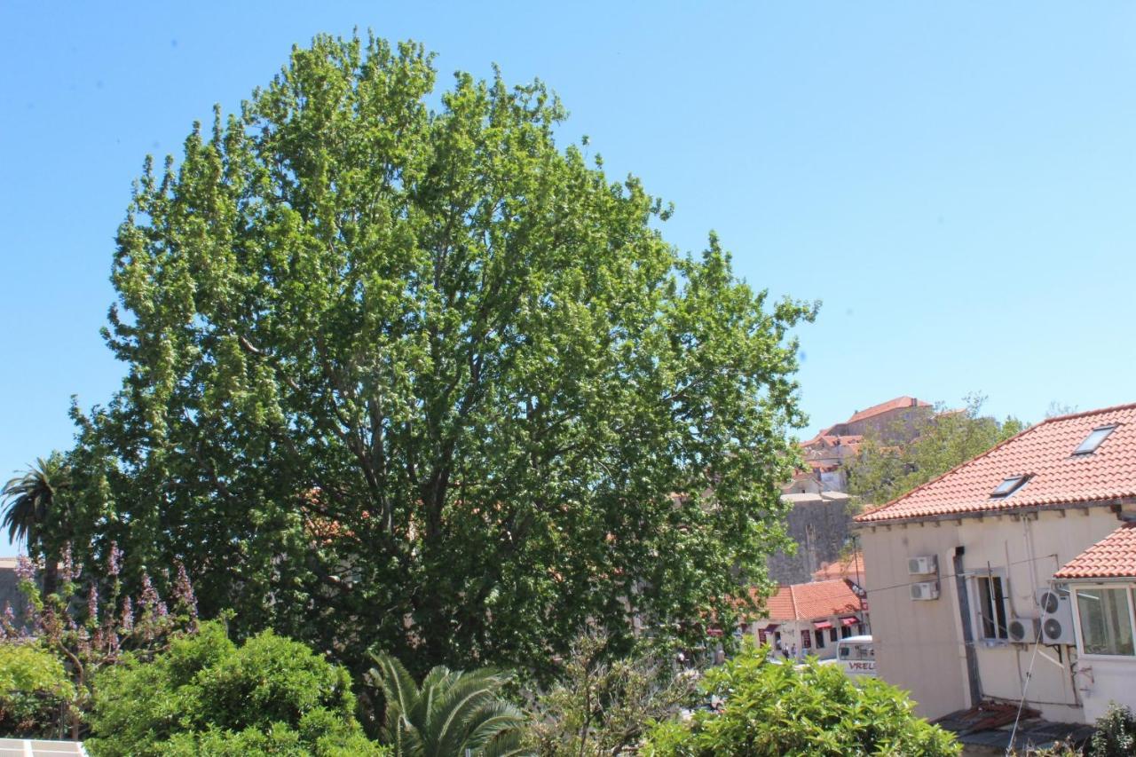 Guest House Gugily Dubrovnik Eksteriør bilde